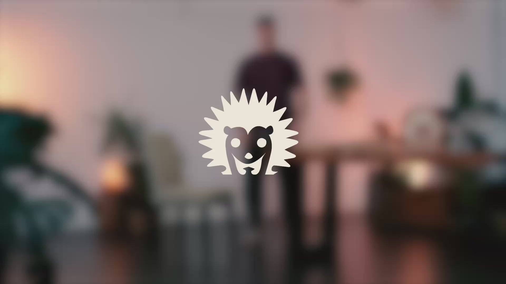 Load video: 